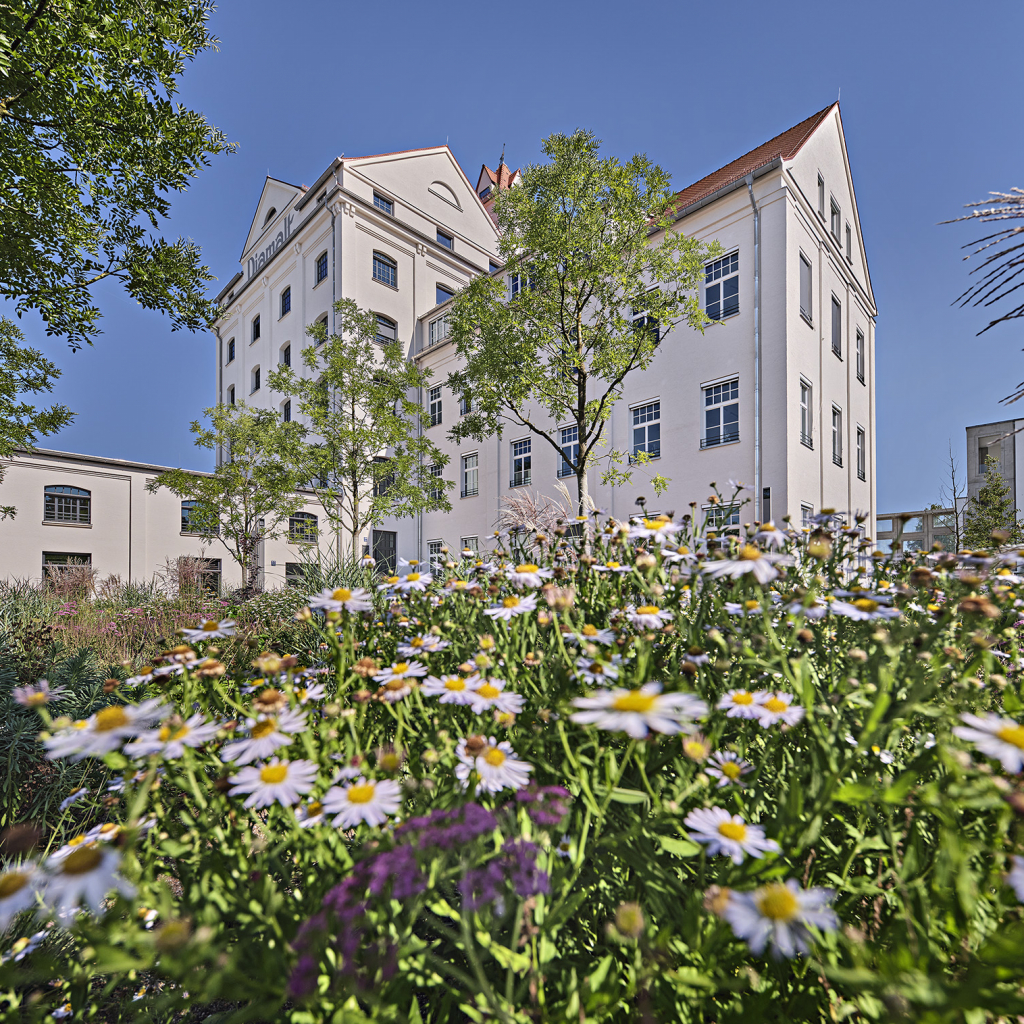 OPTIMA AEGIDIUS FIRMENGRUPPE